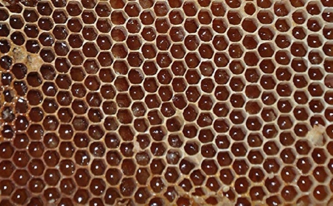Raw Wild Forest Honey 500g , Unfiltered 100% Pure, Premium Quailty